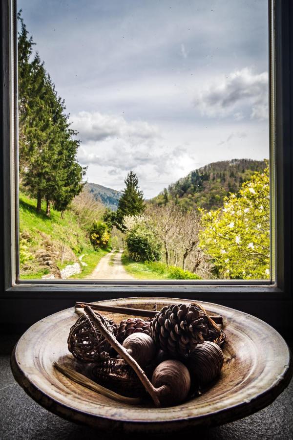 Kuninez, Holiday Home With Summer Kitchen Most Na Soci Bagian luar foto
